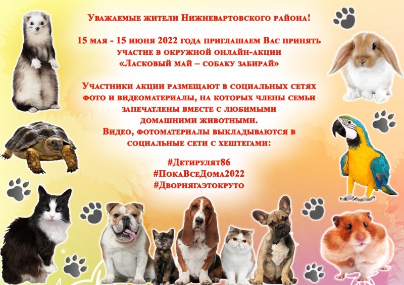 15 мая - 15 июня 2022 года приглашаем Вас принять участие в окружной онлайн- акции "Ласковый май - собаку забирай"
